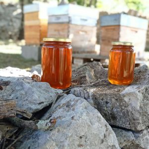 Le miel de châtaignier des Cevennes, riche en antioxydants et en minéraux, est un complément alimentaire idéal