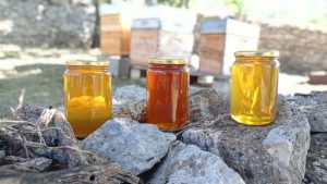 Vente de miel et d'essaims directement de l'apiculteur aux consommateurs dans le Gard, 30430 St Jean de Maruéjols